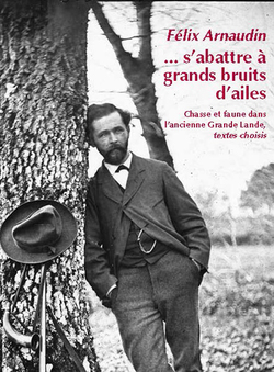 ... s’abattre à grands bruits d’ailes